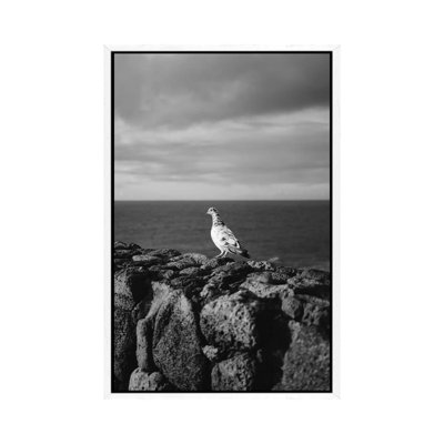 Hawaiian Bird by Bethany Young - Print on Canvas