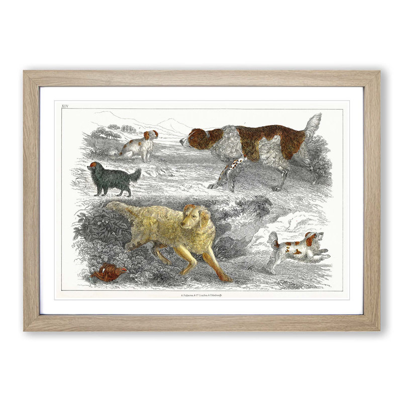 Hunting Dogs by Oliver Goldsmith - Picture Frame Painting Print, 36cm H x 48cm W x 2cm D, Oak Framed