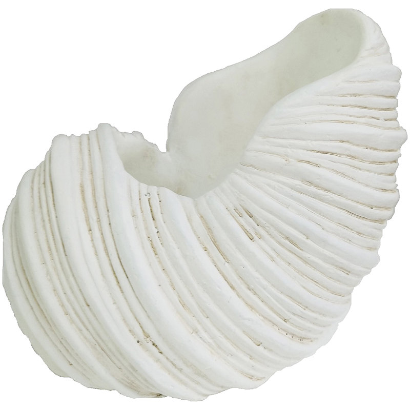 7" Cement Nautilus Shell Planter