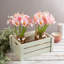 Lys de Calla artificiel 24 pièces avec tiges - Fleurs artificielles pour décoration intérieure-1981635183