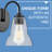 Vera 3-Light Bath Vanity Fixture with Clear Bell-Shaped Glass-1777565375