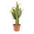 25'' Faux Cactus Plant in Pot