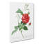 Blood-Red Bengal Rose by Pierre-Joseph Redoute - Wrapped Canvas-55371502