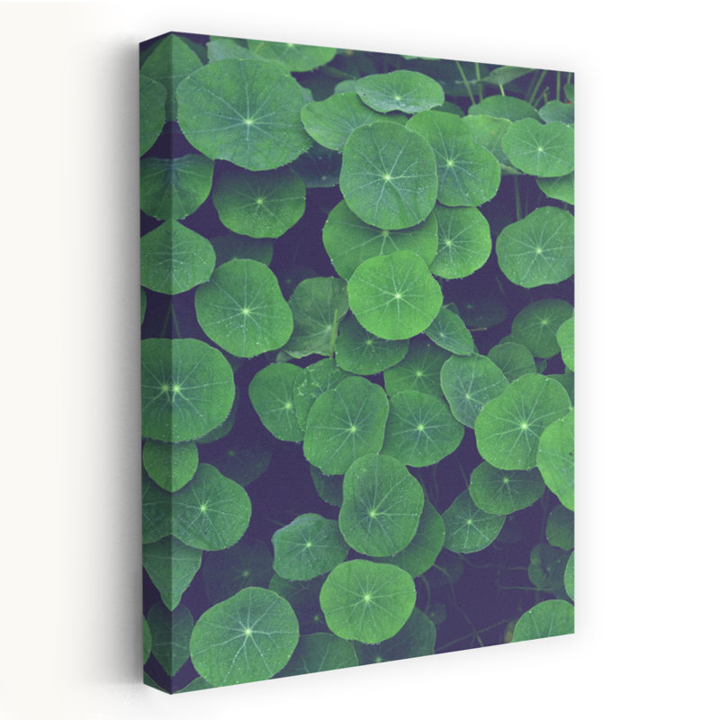 Contemporary Art Abstract Geometric Modern Nature Plant Art - Print, 60.96 cm H x 40.64 cm W
