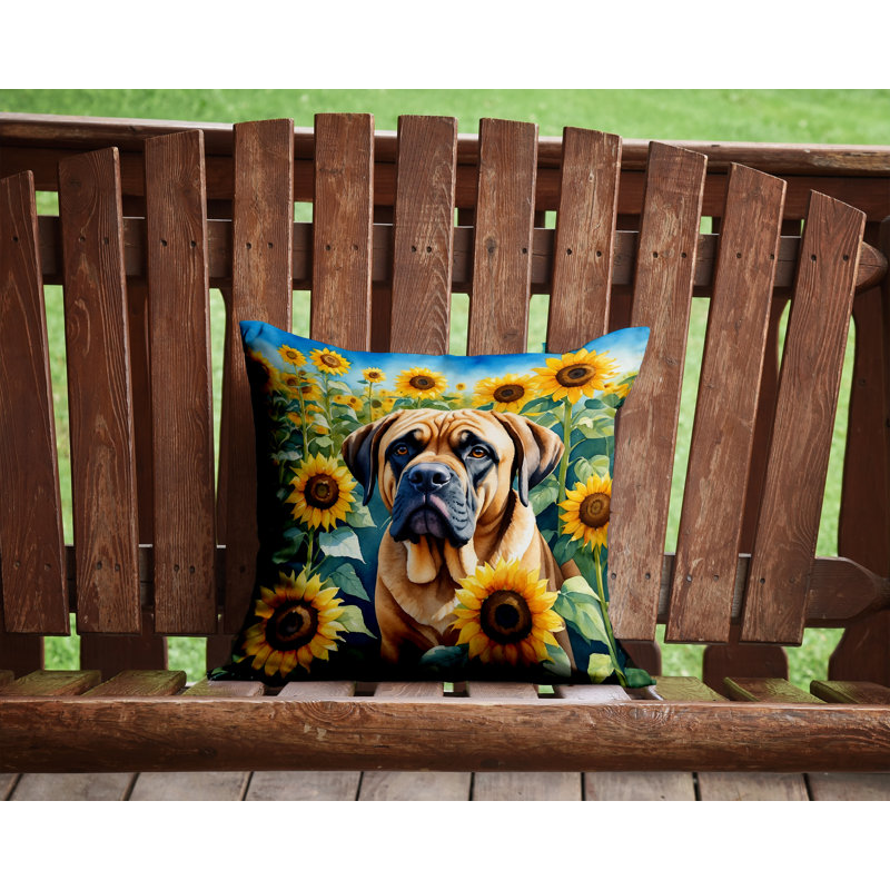 Other/No Pattern Outdoor Throw Pillow, 14"H x 14"W