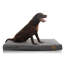 Tapis mémoire Johnone-32479361-32479363