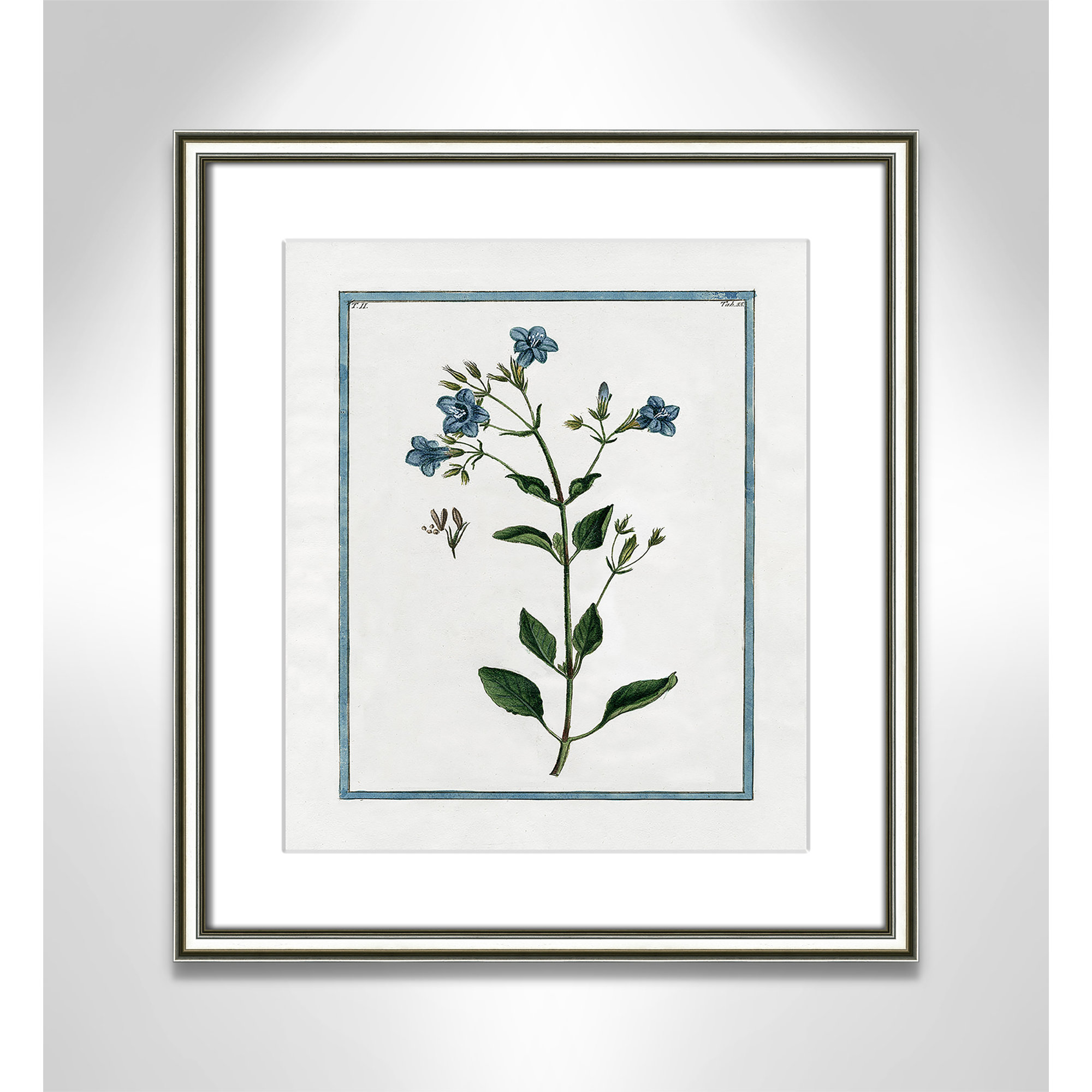 Shabby Elegance Botanical II - Framed Art, 14.25" W x 16.25" H, Silver Framed