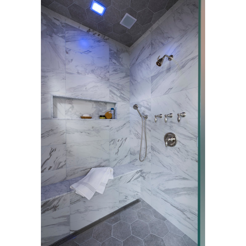 Zephyr® Rain Handheld Shower Head, Polished Nickel