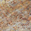 Tapis corail intérieur / extérieur lavable à la machine Cicel ACN1143-109514072