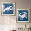 «Sea Patterner Lobster», ensemble de 2 reproductions d'impressions-867392910-867392911-867392896