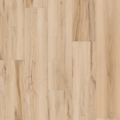 Plancher en vinyle de luxe l 9 po x L 60 po x Shaw 6,5 mm Shaw Robin