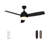 Demy 48'' Ceiling Fan with LED Lights and Remote Control 3-Blades