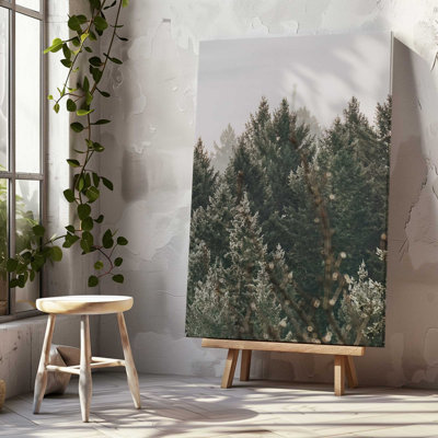 Hushed Evergreens III Canvas Print