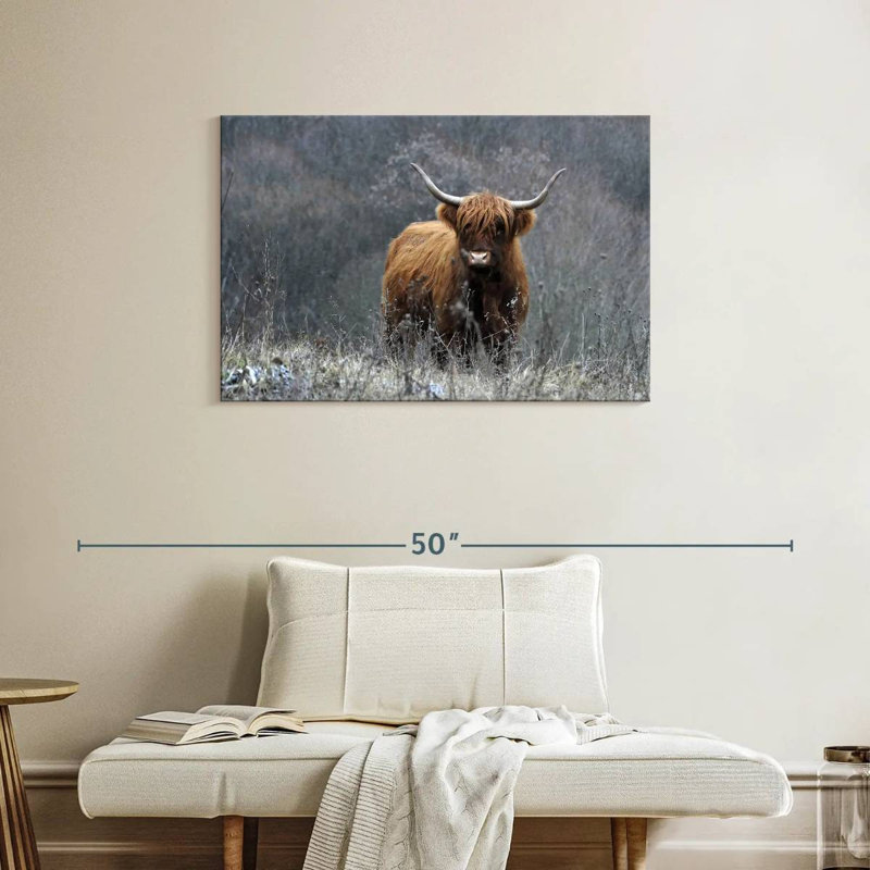 Vache Highland Brampt, H 24 po x l 36 po