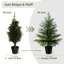 Ensemble de 2 sapins de Noël artificiels Norfolk-2106040472
