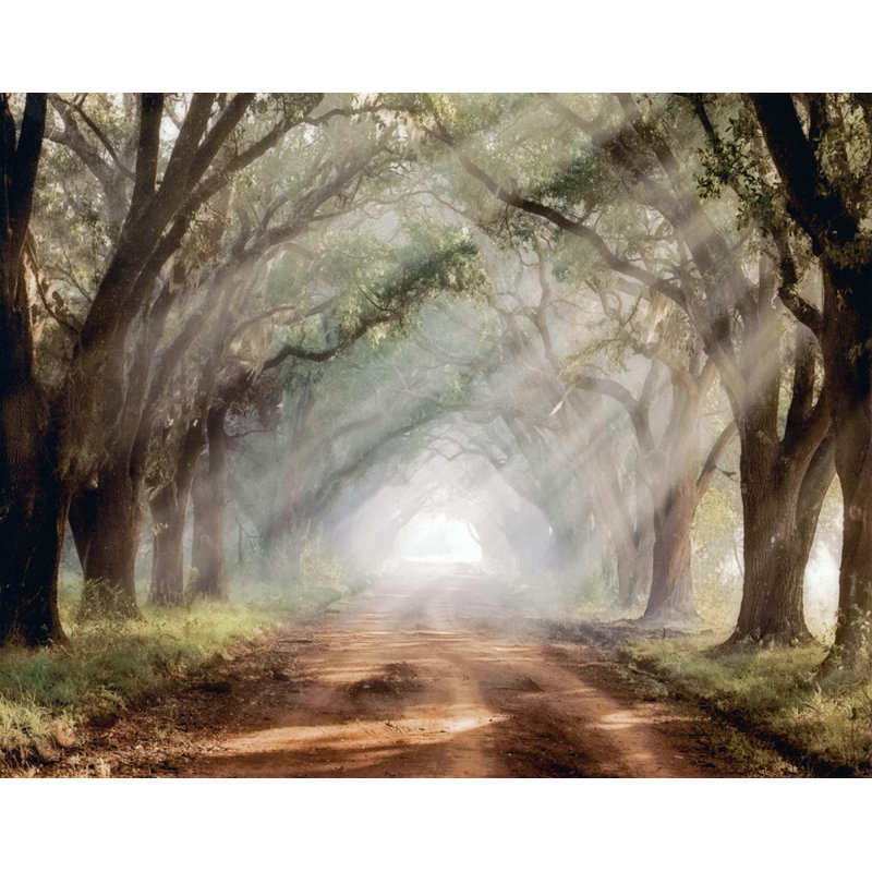 Evergreen Plantation, H 19 po x l 24 po