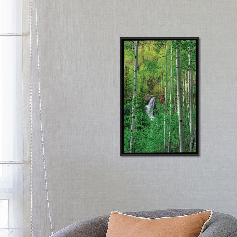 « wilderness chute » par bill sherrell, reproduction d’impression sur toile tendue, H 12 po x l 8 po x P 0,75 po