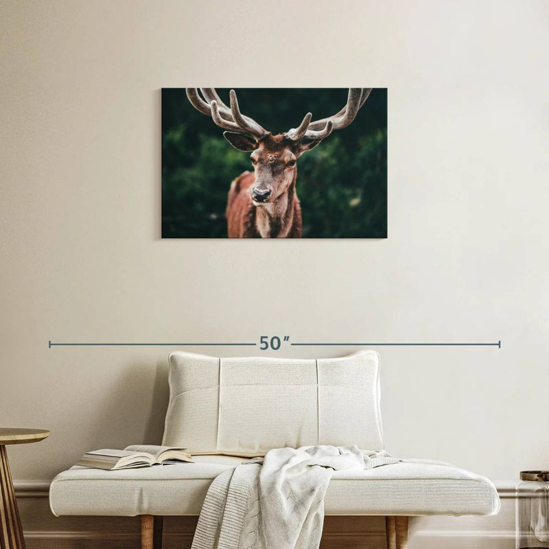 Grand cerf majestueux, H 20 po x l 30 po