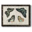 «Crackled Butterflies III», peinture sur toile encadrée-1551065798-1551065799