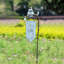 Enseigne de jardin grenouille sur un piquet