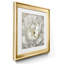 Pivoine parfaite - ensemble de 2 cadres photo sur papier-20129226-20129236-20129237