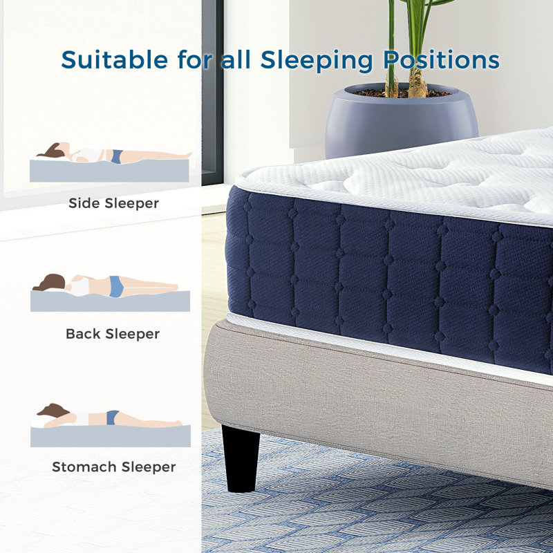 Snooze Button Collection Inofia Pocket Sprung Mattress, Double (4'6)