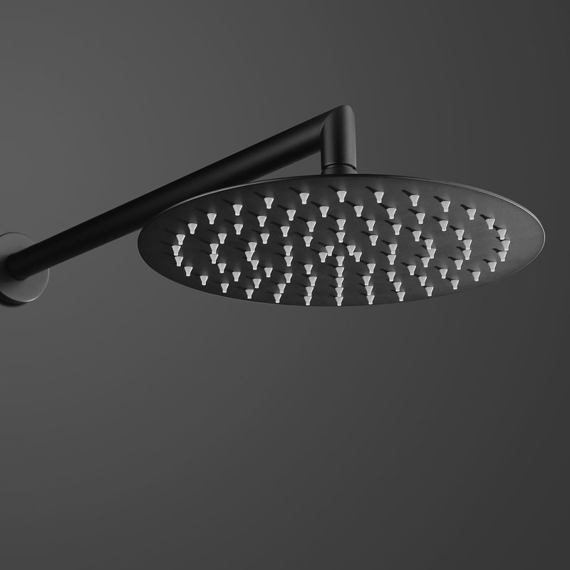 Rain Fixed Shower Head 2.5 GPM GPM