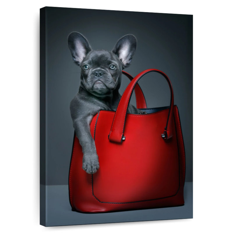 Bouledogue français dans un sac, 12" H x 8" W