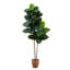 72'' Faux Rubber Tree Tree in Planter