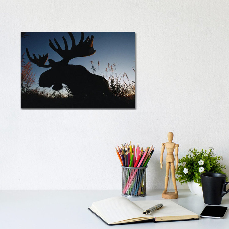 The Silhouetted Head Of A Moose At Kenai National Wildlife Refuge, Alaska by Joel Sartore - Gallery-Wrapped Canvas Giclée on Canvas