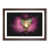 Walnut Framed selected