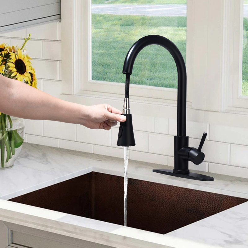 Interbath Pull Down Kitchen Faucet, Matte Black
