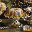 Courtly Check® Ceramic Fluted Cake Stand