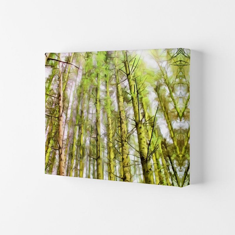 Woodland - Print on Canvas, Unframed, 21cm H x 29.7cm W x 4cm D