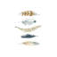 Feather Collection II by Carol Robinson - Painting on Canvas-1216285996-1216286032