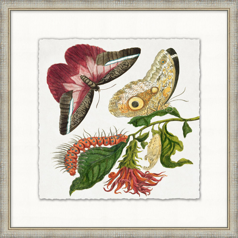 Garden Butterflies 6 - Peinture avec cadre photo
