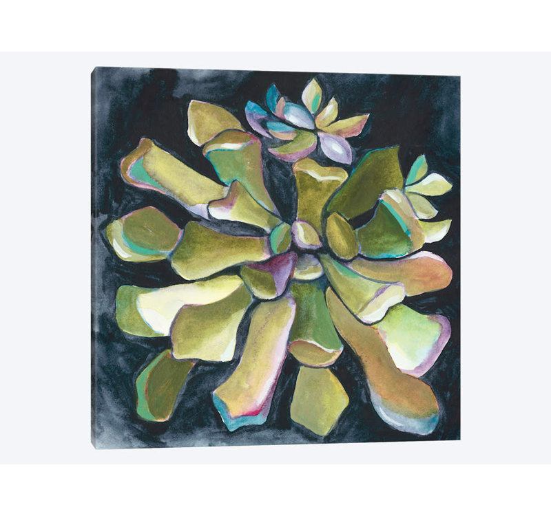 « succulent rosette i », reproduction sur toile, H 18 po x l 18 po x P 1,5 po, Toile tendue, Pas de tapis