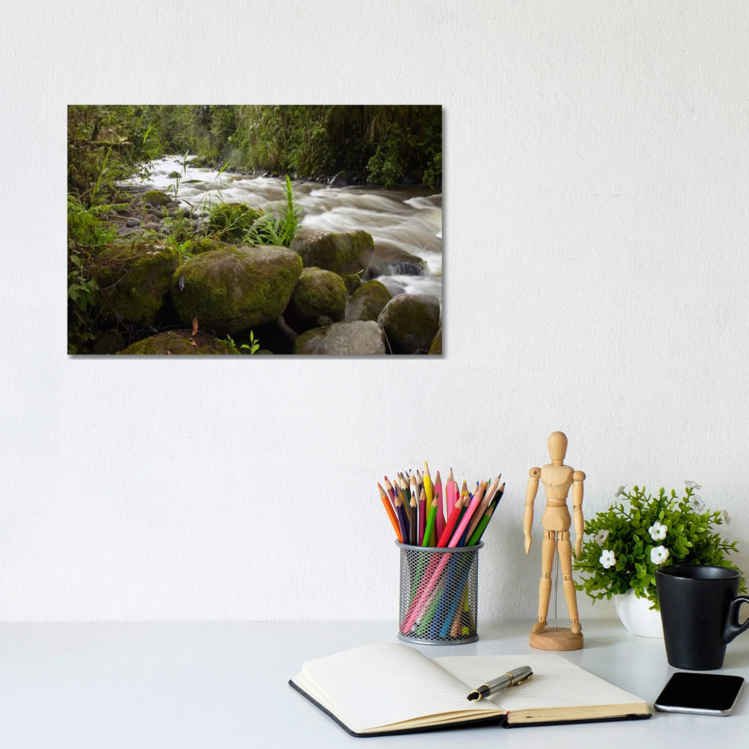 Mindo River Flowing Through Cloud Forest, Ecuador von Tim Fitzharris - Gallery-Wrapped Canvas Giclée