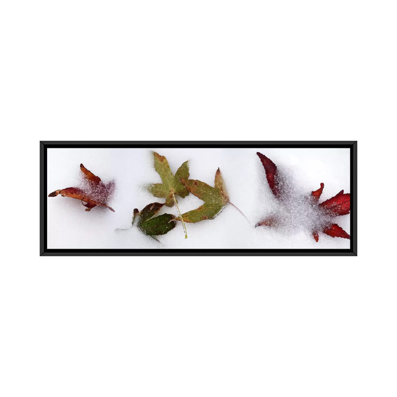 « leaves », reproduction de photo sur toile tendue, H 20 po x l 60 po x P 1,5 po, Toile avec cadre noir
