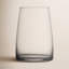 Sensa 16.9 oz. Crystal Stemless Wine Glass