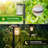 Matte Black Solar Powered Integrated LED Pathway Light
