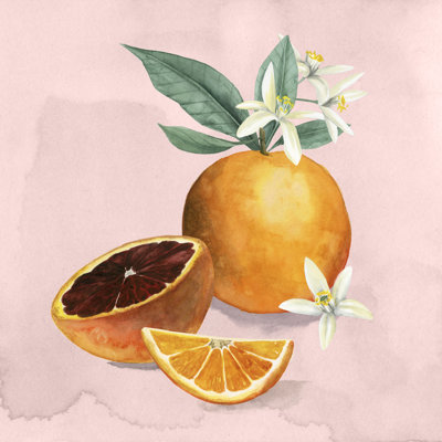 Orange Blossom I by Grace Popp - Wrapped Canvas Painting