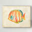 « aquarium fish ii », reproduction sur toile tendue-747633410