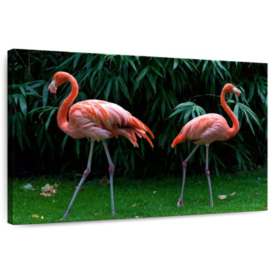 Deux flamants roses
