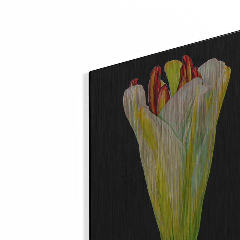 " Lily Bud " by Pamela Plummer, 16" H x 12" W