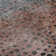 Premium Machine Washable Christina AMF1074 Circles Rug