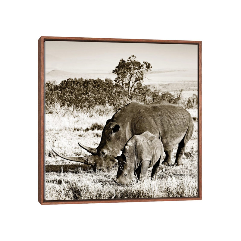 Bonded Rhino by Klaus Tiedge - Print on Canvas, 45.72 cm H x 45.72 cm W, Classic Brown Wood Framed
