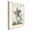 Cadre Pastel Birds IV Premium - prêt à accrocher-1447607541-1447607549