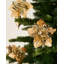 Arrangement