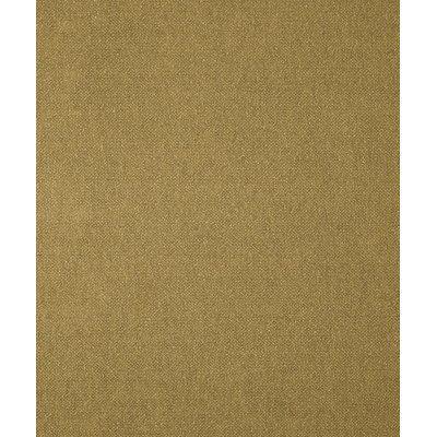 Genesis Fabric